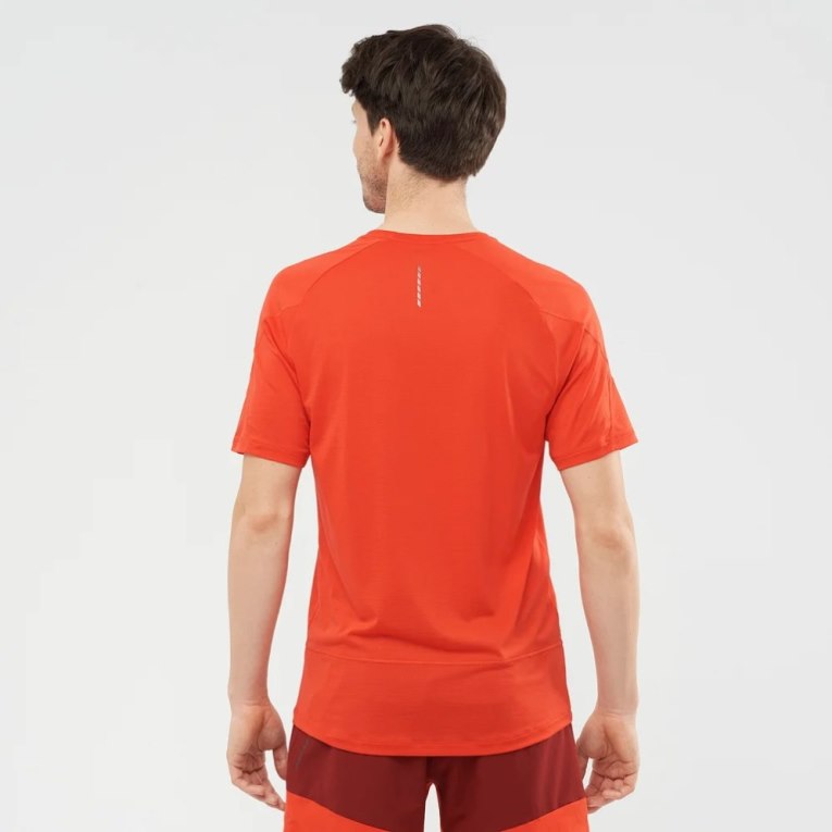 Orange Salomon Cross Run Short Sleeve Men's T-Shirts | PH 90687N